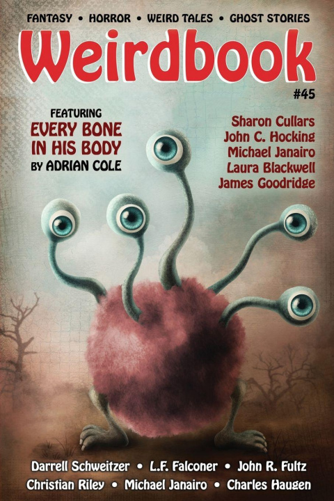 Kniha Weirdbook #45 Darrell Schweitzer