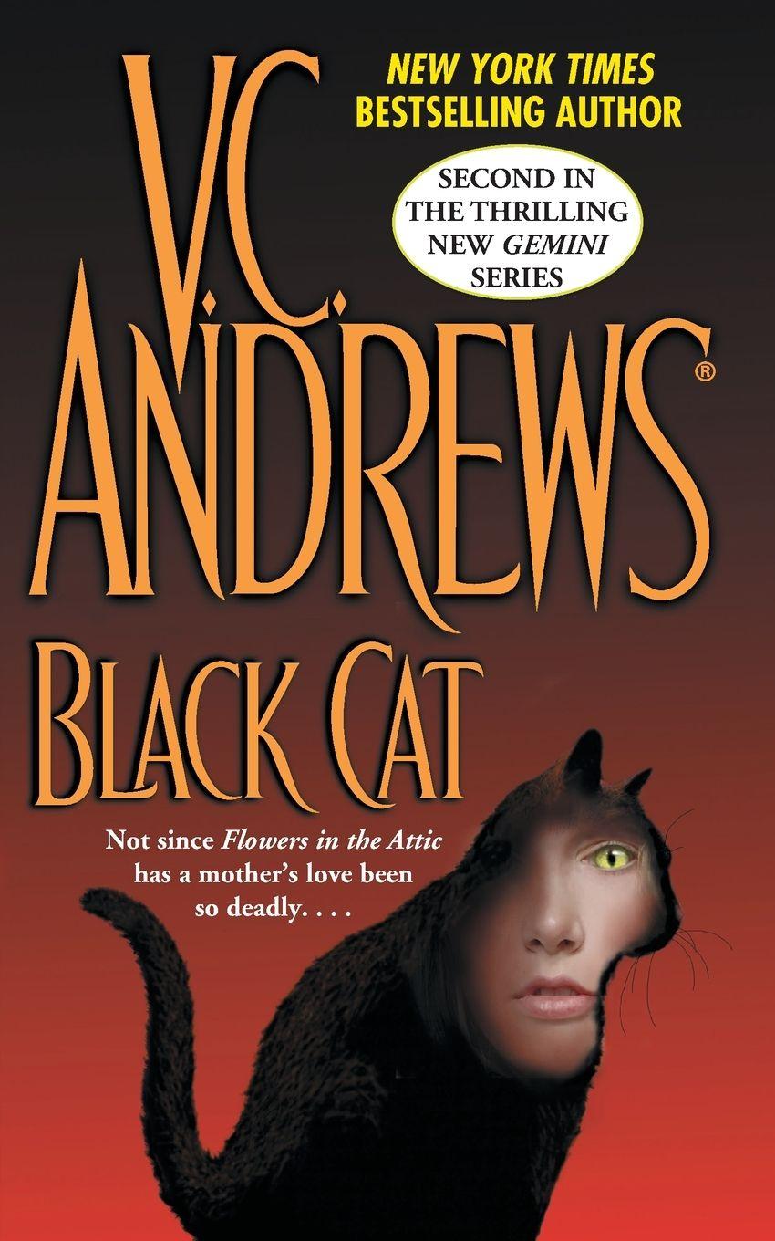 Knjiga Black Cat 
