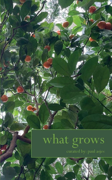 Kniha What Grows Paul Asjes
