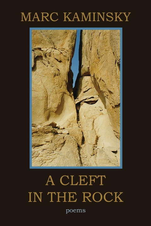 Kniha A Cleft in the Rock Marc Kaminsky