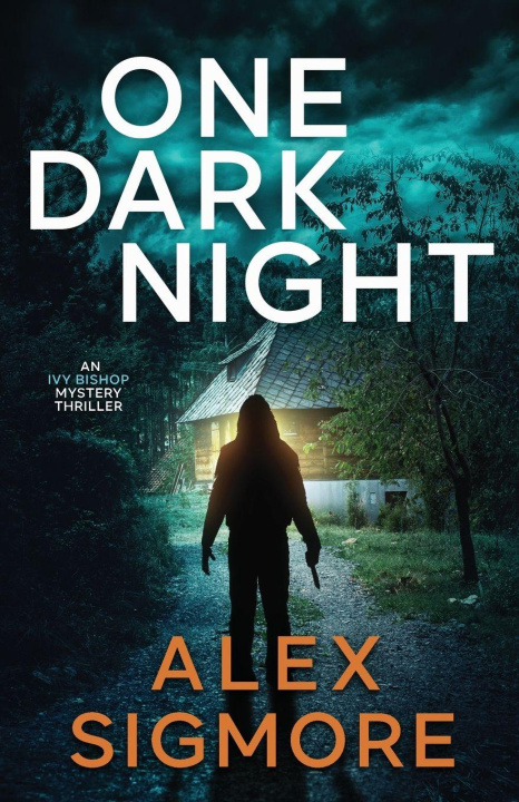 Kniha One Dark Night Alex Sigmore