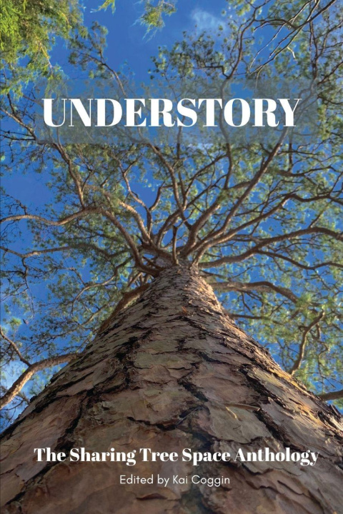 Buch Understory Kai Coggin