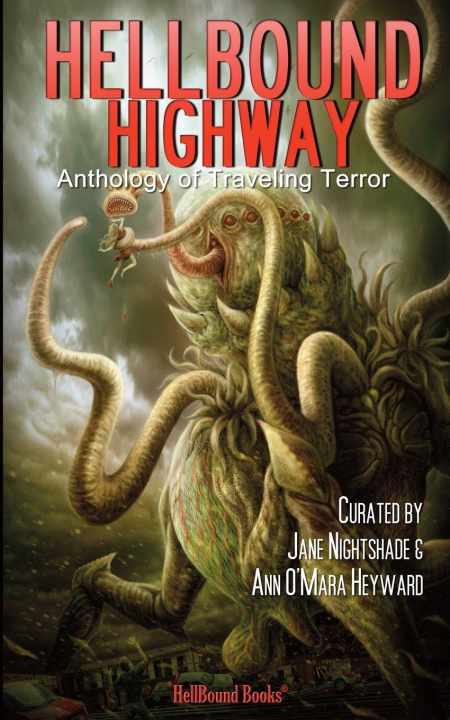 Kniha HellBound Highway Ann O'Mara Heyward