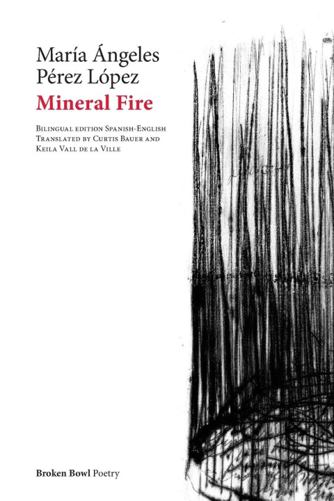 Buch Mineral Fire María Ángeles Pérez López