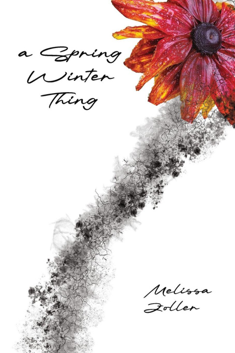 Kniha a Spring Winter Thing Melissa Zoller