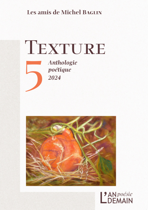 Kniha Texture 5 