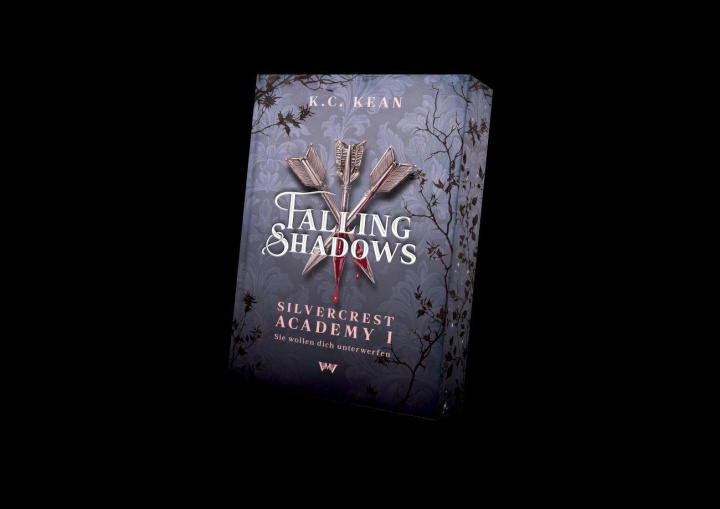 Kniha Falling Shadows: Spicy Reverse Harem Dark Romantasy von Morgen Verlag
