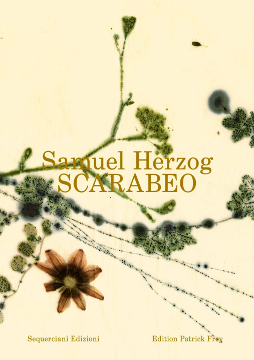Buch Scarabeo (IT) Samuel Herzog