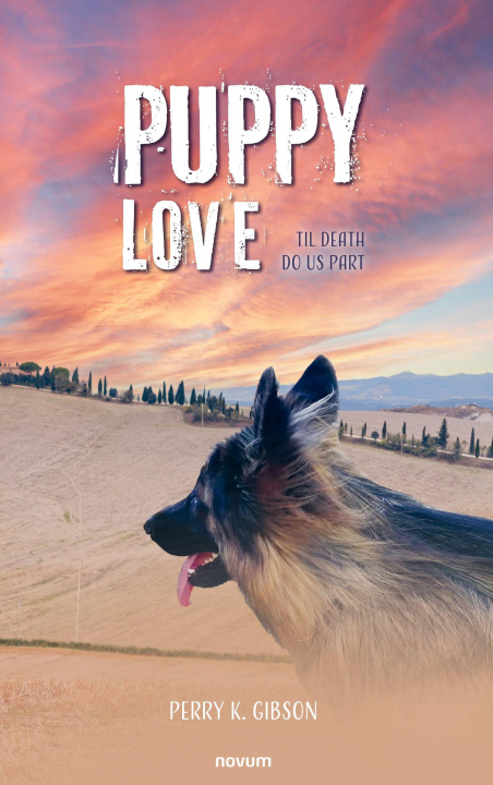 Kniha Puppy Love Perry K. Gibson