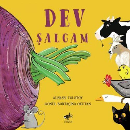 Kniha Dev Salgam 