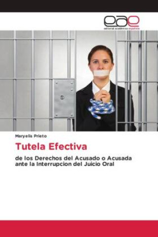 Livro Tutela Efectiva Maryelis Prieto
