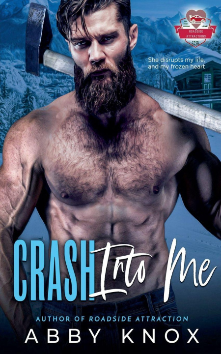 Kniha Crash Into Me Abby Knox