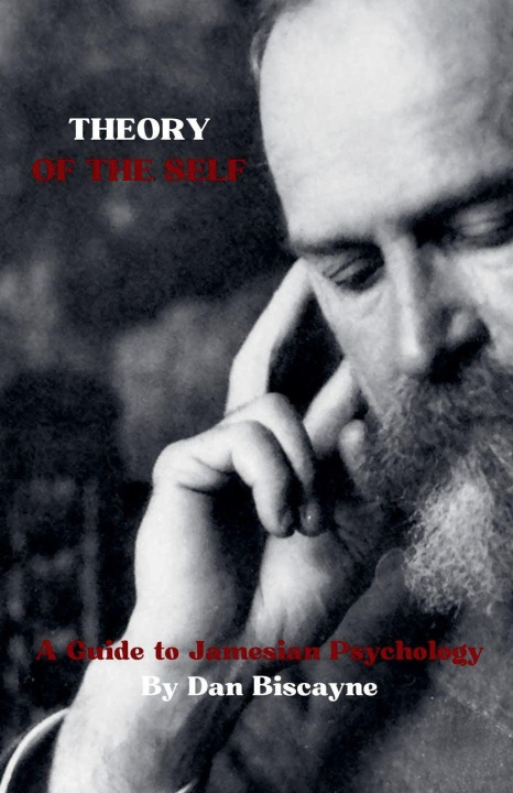 Kniha Theory of the Self Dan Biscayne