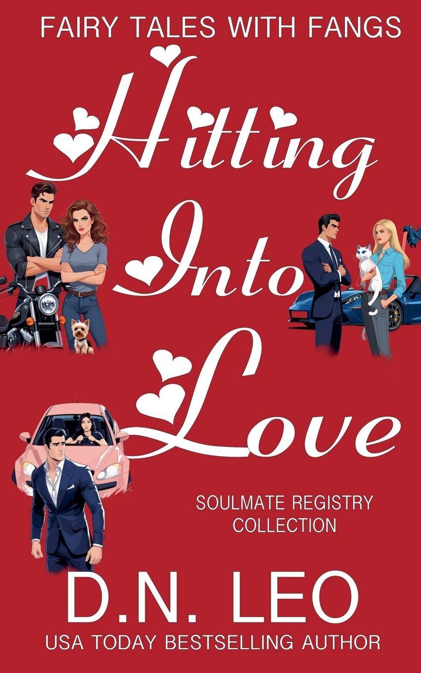 Kniha Hitting Into Love D. N. Leo
