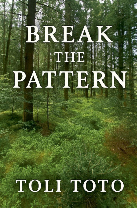 Könyv Break the Pattern Toli Toto