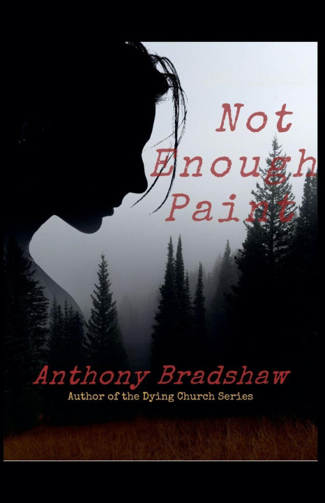 Kniha Not Enough Paint anthony bradshaw