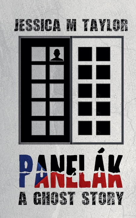 Kniha Panelák J M Taylor