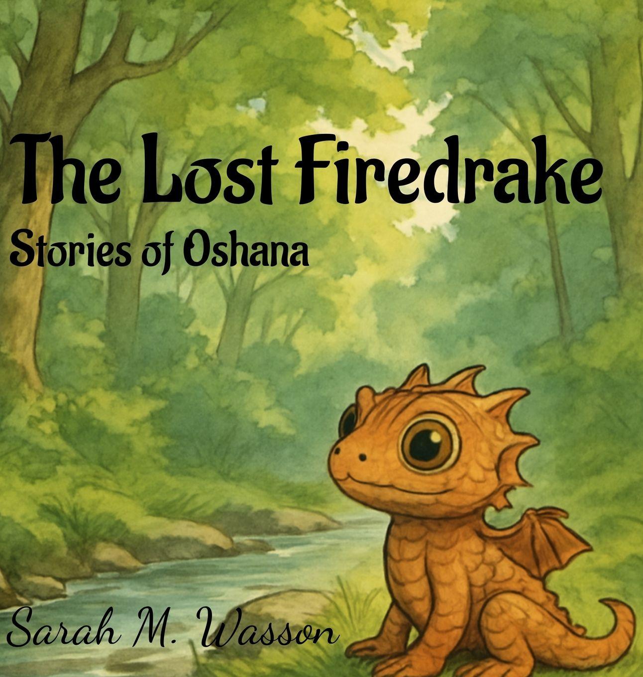 Kniha The Lost Firedrake Sarah Wasson