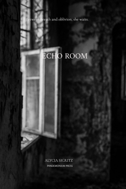 Kniha Echo Room Alycia Sigritz