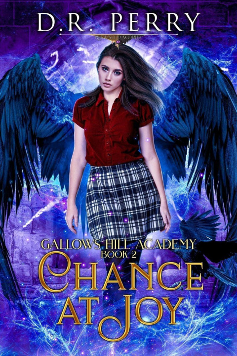 Kniha Chance At Joy D.R. Perry