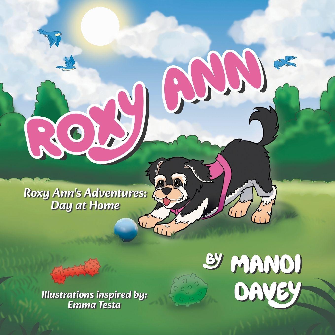 Kniha Roxy Ann Mandi Davey