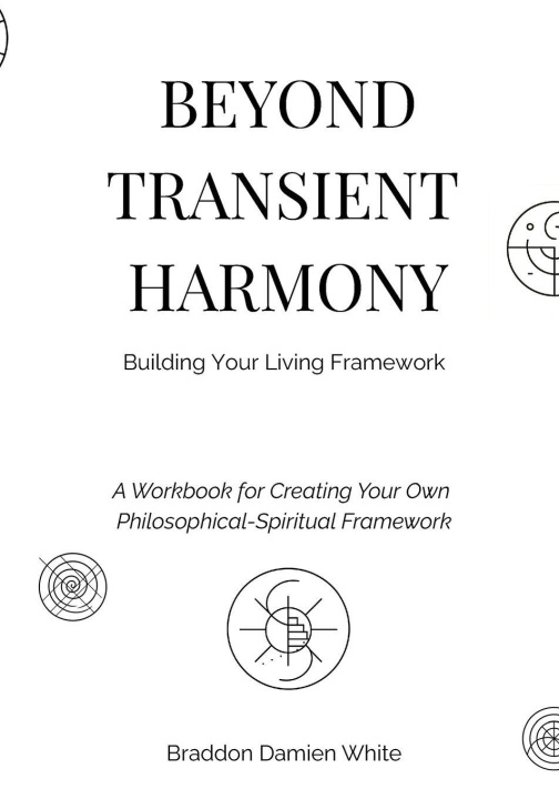 Knjiga Beyond Transient Harmony Braddon Damien White