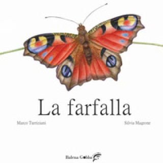 Knjiga farfalla Marco Turriziani