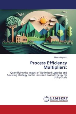 Kniha Process Efficiency Multipliers: Nancy Ogbedo