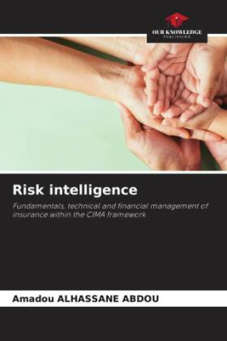 Kniha Risk intelligence Amadou Alhassane Abdou