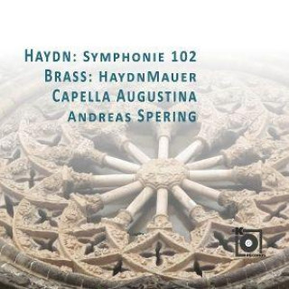 Audio Haydn: Symphonie 102/Brass: HaydnMauer 