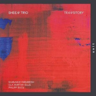 Audio Transitory 