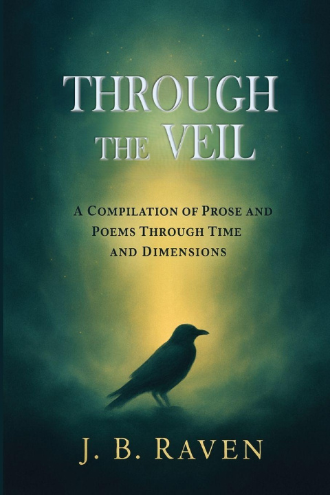 Kniha Through the Veil Julie Belmont