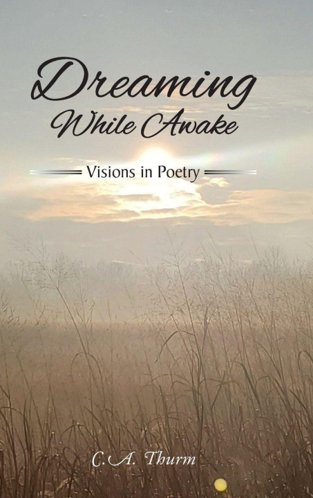 Kniha Dreaming While Awake C.A. Thurm
