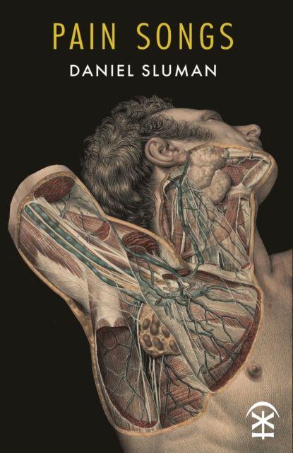 Book Pain Songs Daniel Sluman