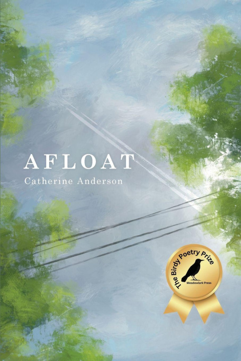 Kniha Afloat Catherine Anderson
