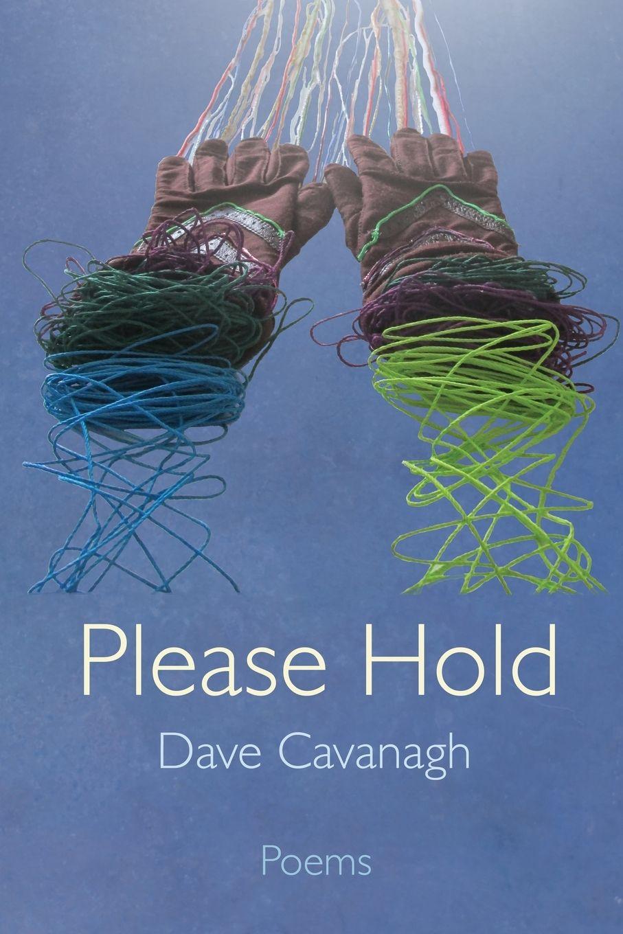 Knjiga Please Hold Dave Cavanagh