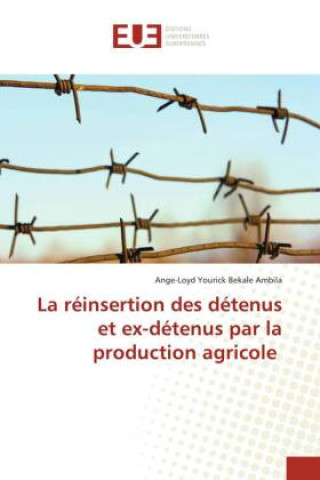 Kniha La réinsertion des détenus et ex-détenus par la production agricole Ange-Loyd Yourick Bekale Ambila