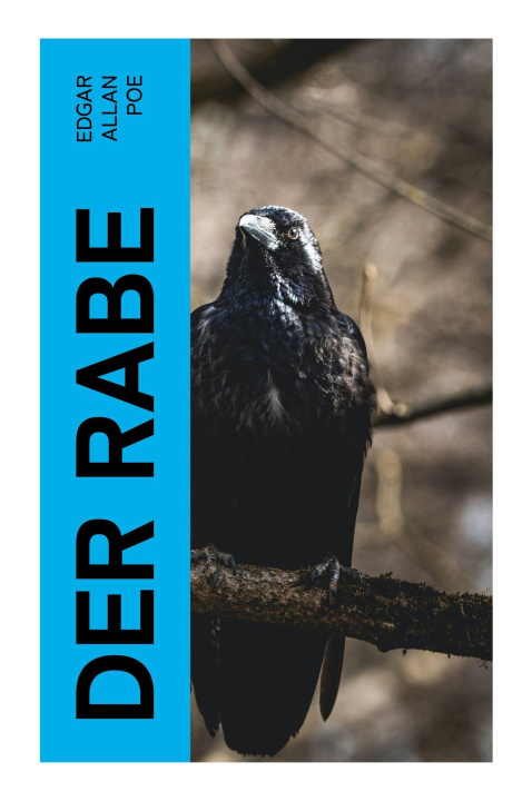 Kniha Der Rabe Carl Theodor Eben