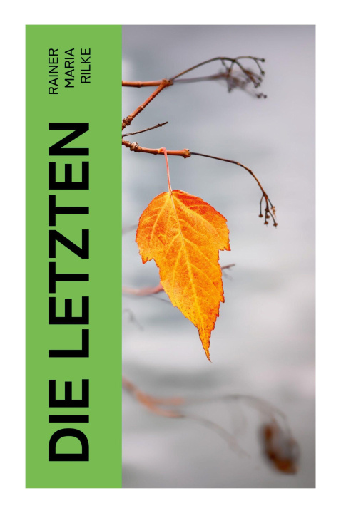 Kniha Die Letzten 