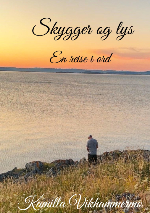 Kniha Skygger og lys 