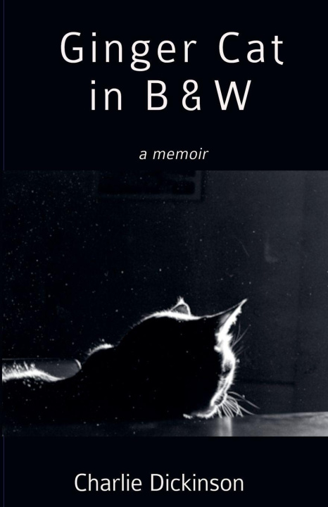 Книга Ginger Cat in B & W Charlie Dickinson