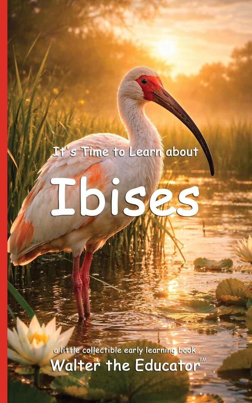 Kniha It's Time to Learn about Ibises Walter the Educator