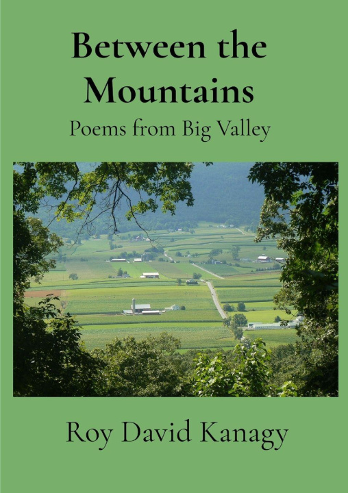 Knjiga Between the Mountains Roy David Kanagy