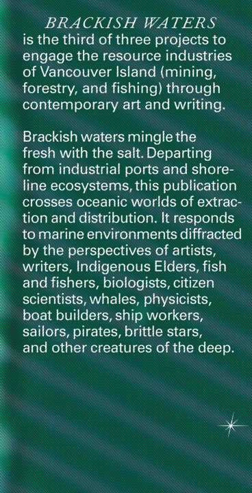 Buch BRACKISH WATERS BIRCH JESSE