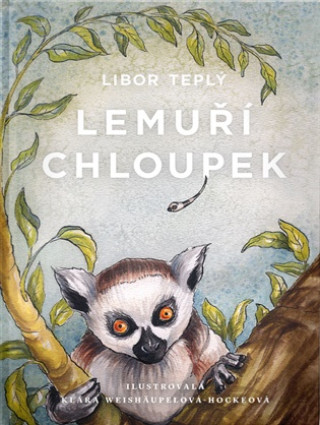 Boek Lemuří chloupek Libor Teplý