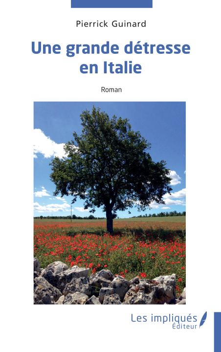 Libro Une grande détresse en Italie Guinard
