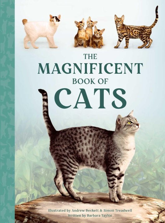 Kniha MAGNIFICENT BK OF CATS TAYLOR BARBARA