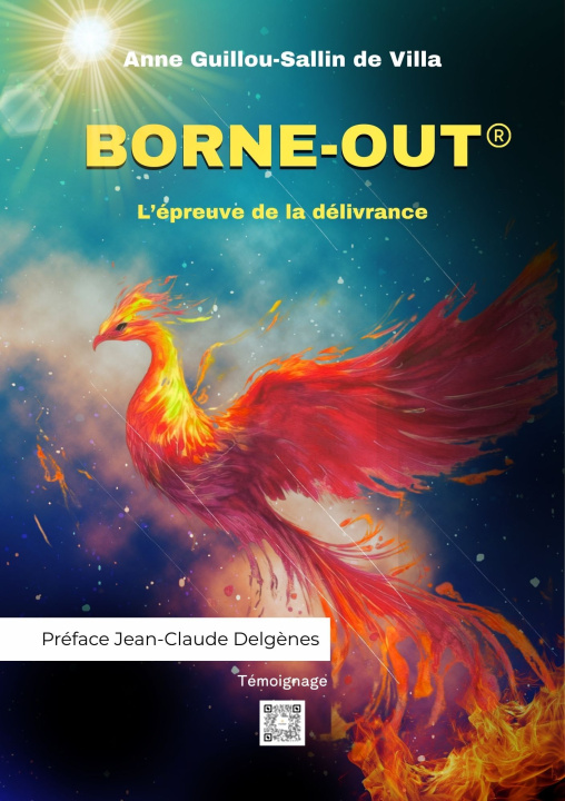 Knjiga BORNE-OUT GUILLOU SALLIN DE VILLA