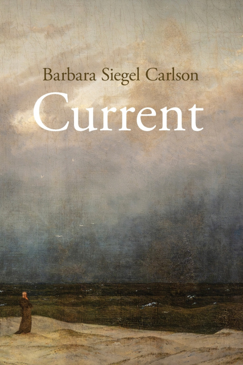 Knjiga Current Barbara Siegel Carlson