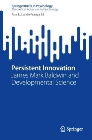 Kniha Persistent Innovation Ana Luiza de França Sá
